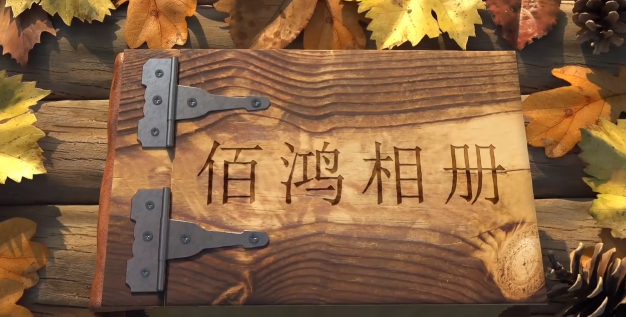 2023-04 九年，從破土而出到碩果累累，從深耕再生醫(yī)學(xué)，到擁有多項(xiàng)技術(shù)專(zhuān)利，從術(shù)業(yè)專(zhuān)攻，到涉獵三大領(lǐng)域九年，時(shí)間長(zhǎng)河里的滄海一粟對(duì)于我們卻是3千多日日夜夜未來(lái)，我們有更多鴻圖…